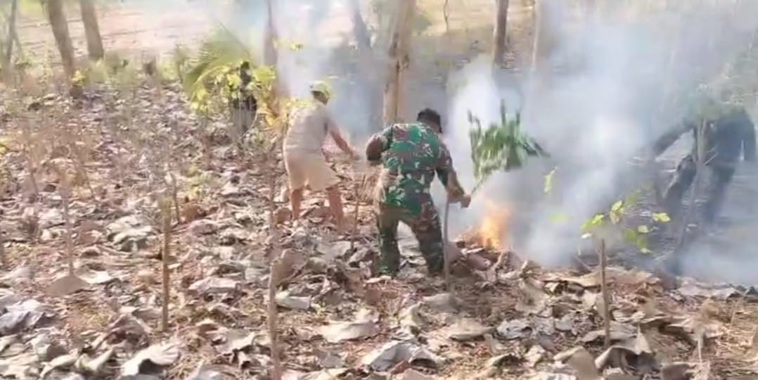 Kebakaran Lahan Perhutani di Ngepoh, TNI dan Warga Padamkan Api Seluas Satu Hektare
